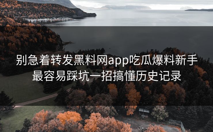 别急着转发黑料网app吃瓜爆料新手最容易踩坑一招搞懂历史记录